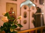 _MG_7696.jpg