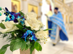 IMG_1958.png