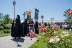 IMG_3983.jpg